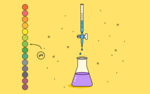 Acids and Bases