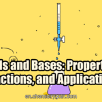 Acids and Bases: Properties, Reactions, and Applications